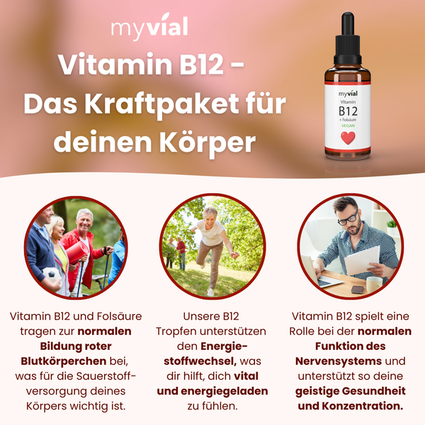 {"loading" => "lazy", "alt" => "Vegan Vital Paket"}