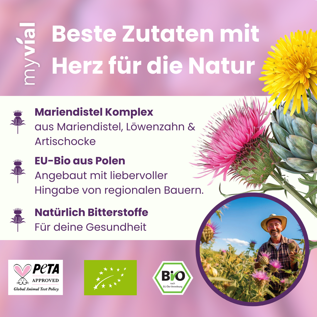 Bio Mariendistel Leber Komplex Kapseln