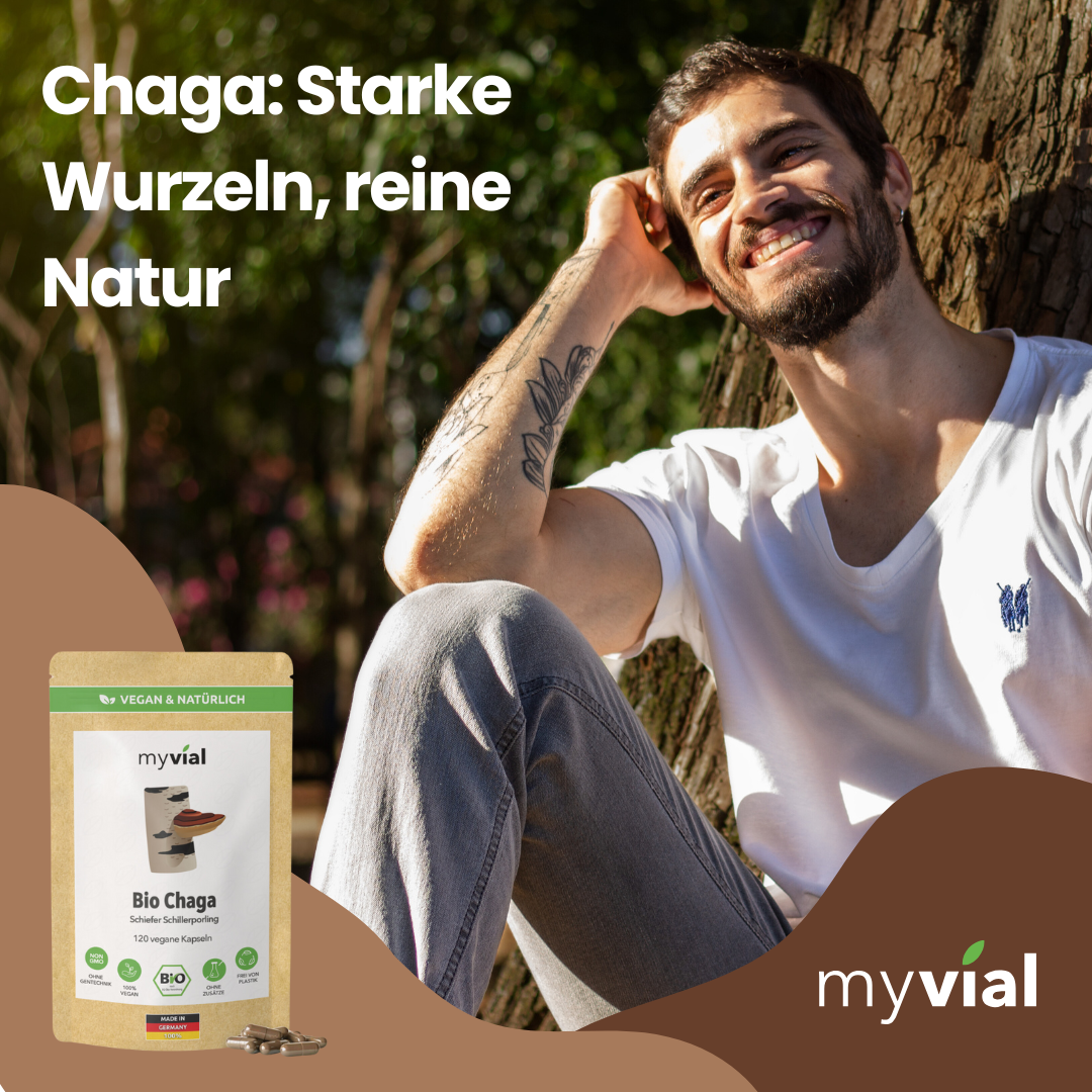 Bio Chaga Kapseln