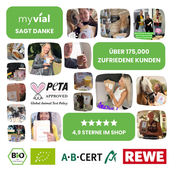 {"loading" => "lazy", "alt" => "Vegan Vital Paket"}