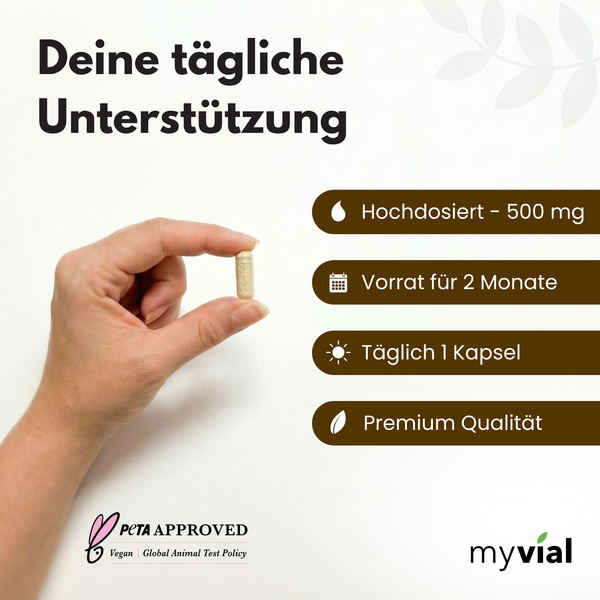 {"loading" => "lazy", "alt" => "Vitamin B Komplex Kapseln"}
