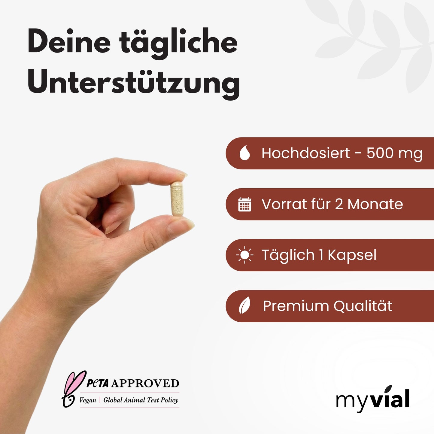 Vitamin B Komplex Kapseln