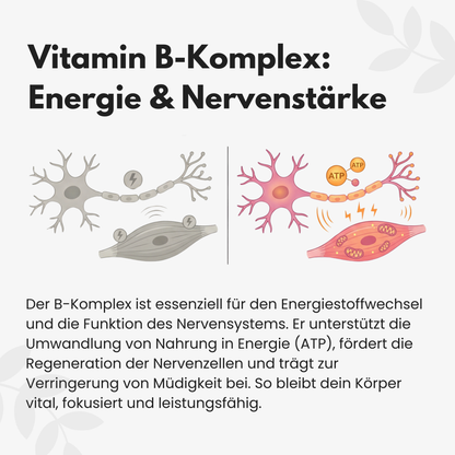 Vitamin B Komplex Kapseln