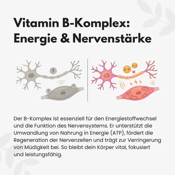 {"loading" => "lazy", "alt" => "Vitamin B Komplex Kapseln"}