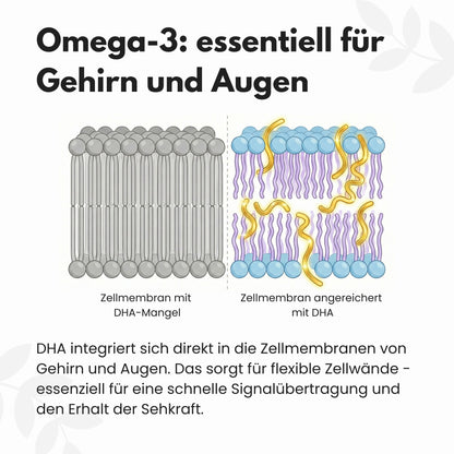 Omega 3 Kapseln aus Algenöl - Vegan