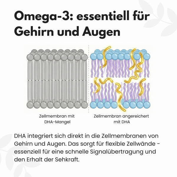 {"loading" => "lazy", "alt" => "Omega 3 Kapseln aus Algenöl - Vegan"}