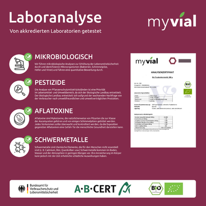 Bio OPC Kapseln – Mit Traubenkern, Aroniapulver & Vitamin C