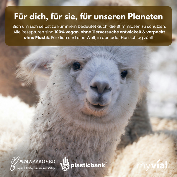 {"loading" => "lazy", "alt" => "Vitamin B Komplex Kapseln"}