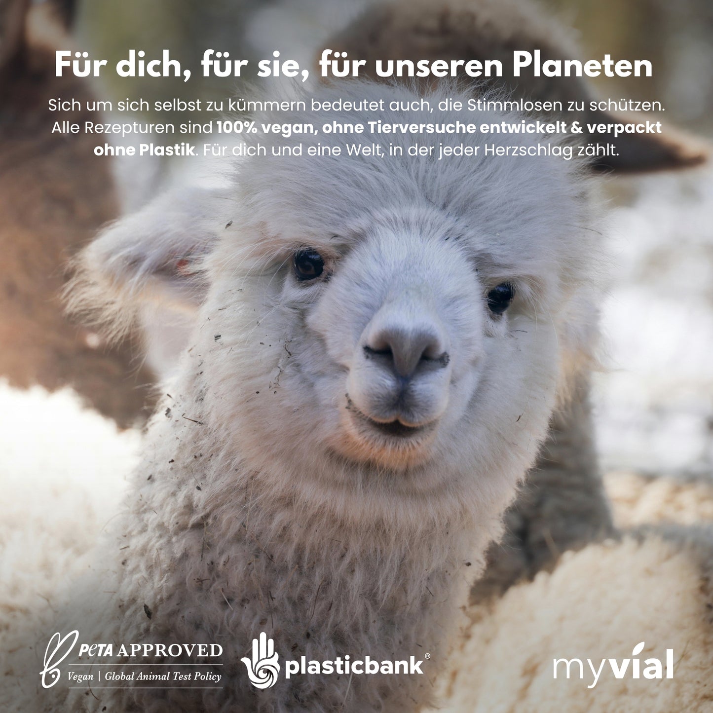 Vitamin B Komplex Kapseln