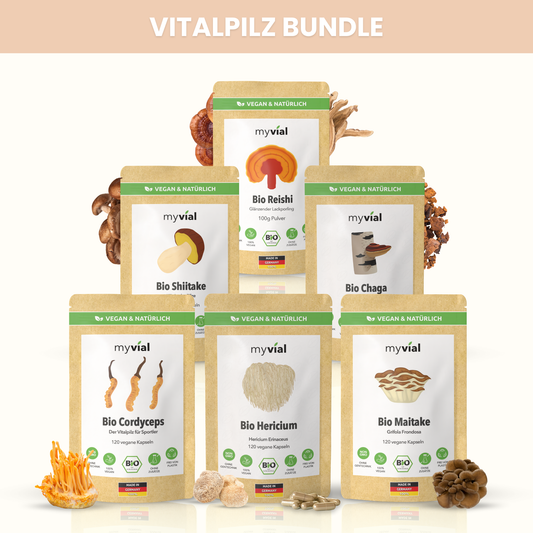 Vitalpilz Bundle